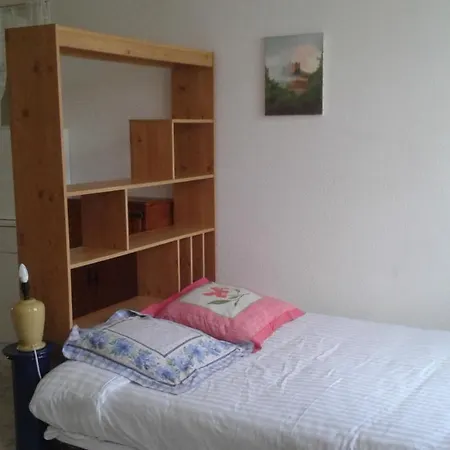 Le Sultan Du Theron 3em Etage * Le Puy-en-Velay